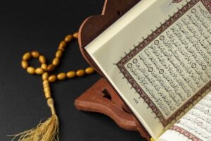 دروس تجويد احترافية
