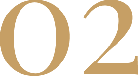 Number 02 in gold serif font, used as a page or slide indicator.