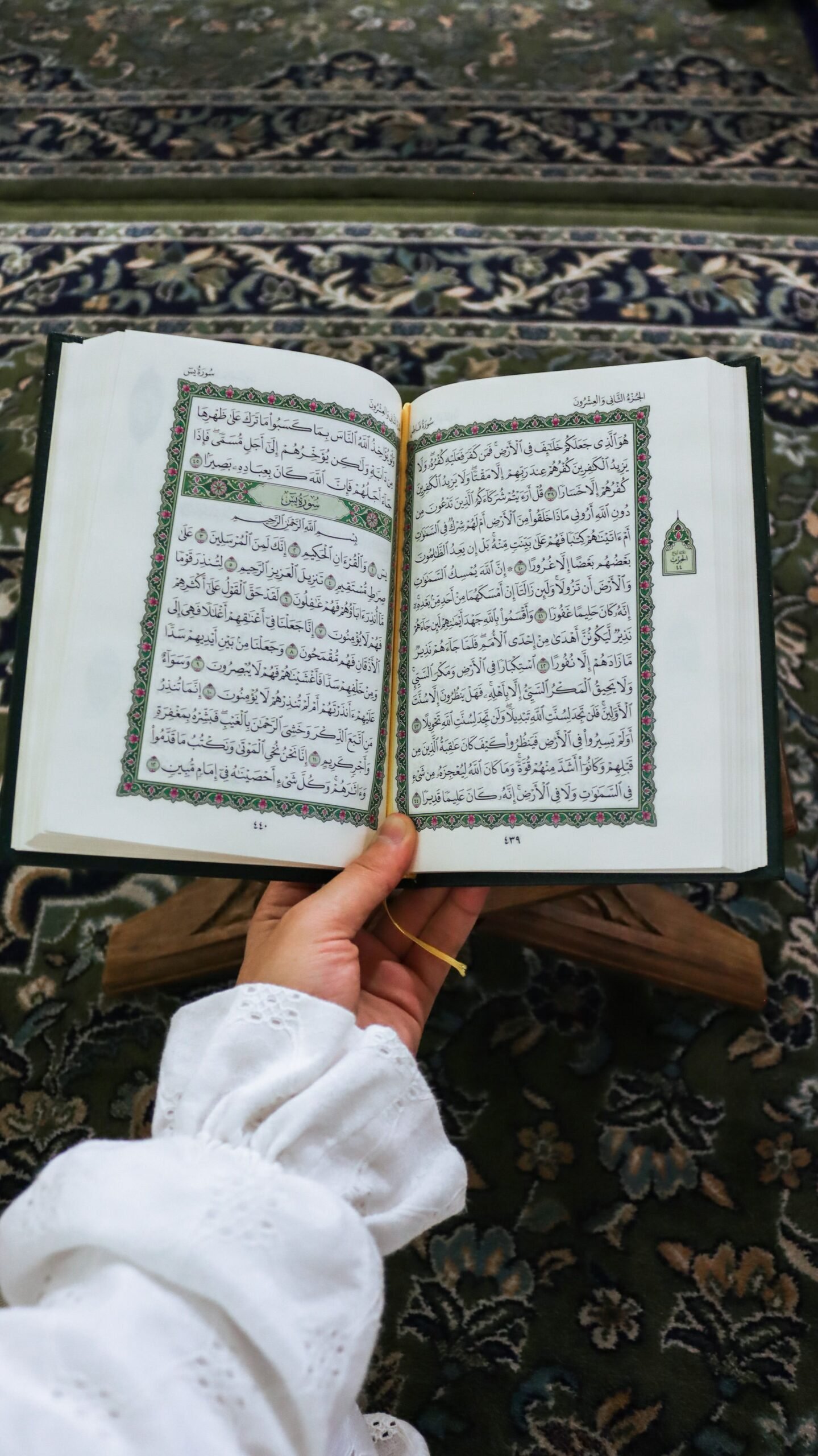 أسعار تحفيظ القرآن أون لاين للرجال في الدنمارك