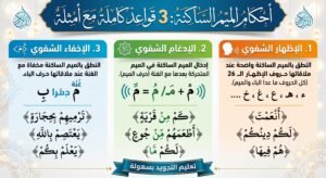 أحكام الميم الساكنة: 3 قواعد كاملة مع أمثلة